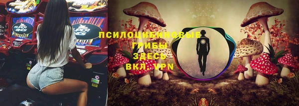прущие крисы Каменка