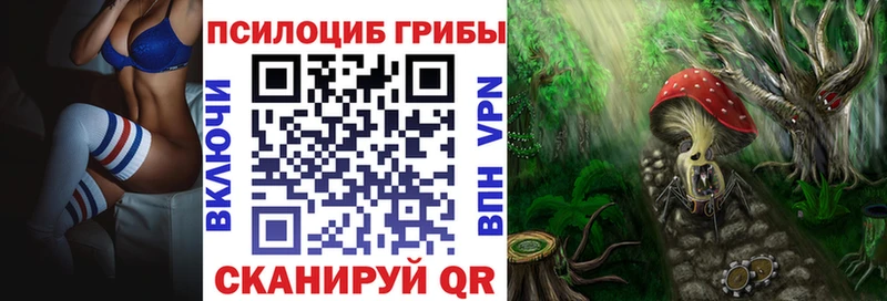 купить закладку  Солнечногорск  OMG зеркало  Псилоцибиновые грибы мухоморы 