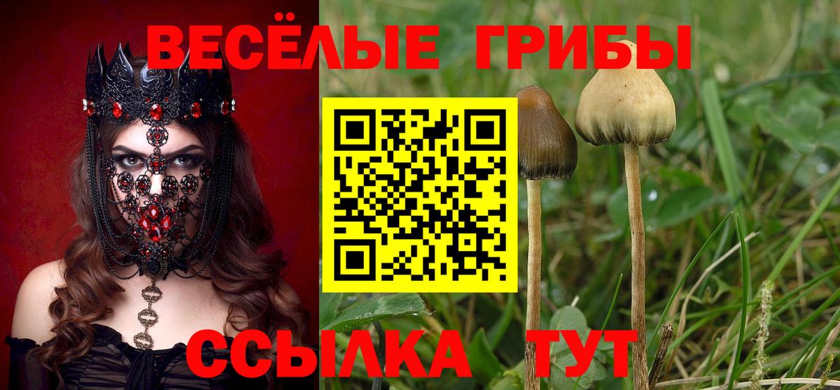 Солнечногорск  Псилоцибиновые грибы прущие грибы  Вход с VPN 