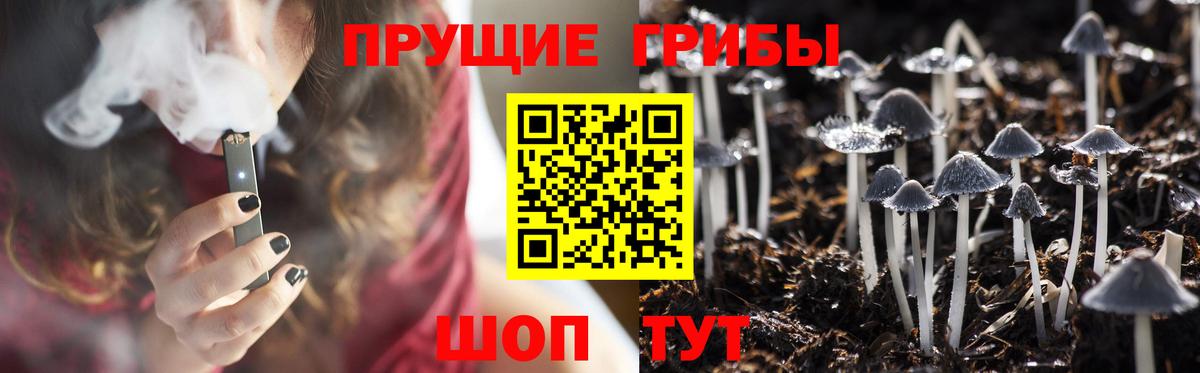 Галлюциногенные грибы Magic Shrooms  Солнечногорск  Галлюциногенные грибы прущие грибы 